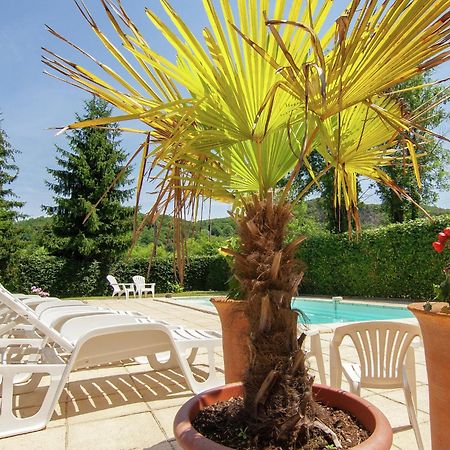 Appealing Apartment In Vezac With Swimming Pool Beynac-et-Cazenac Eksteriør billede
