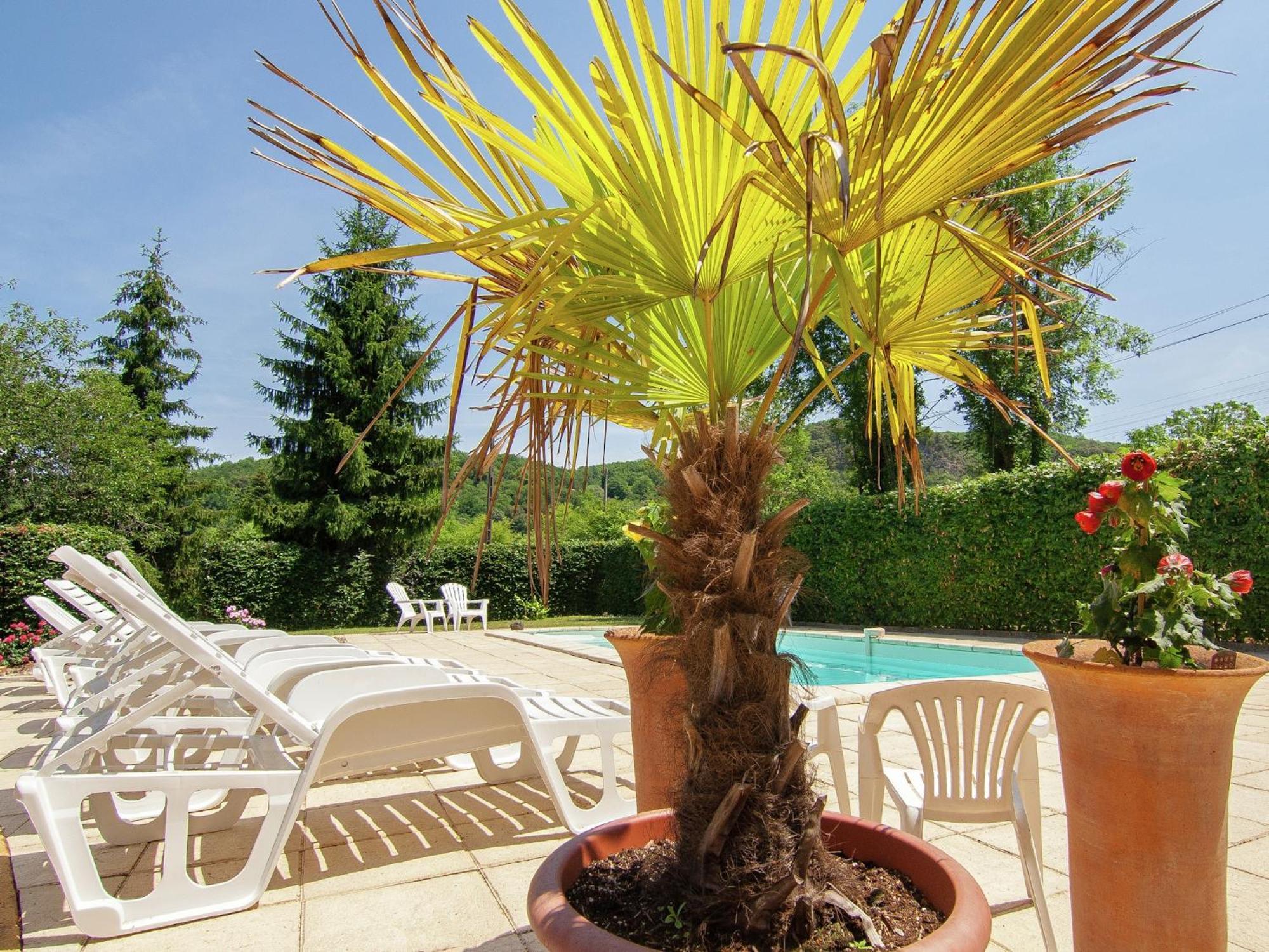 Appealing Apartment In Vezac With Swimming Pool Beynac-et-Cazenac Eksteriør billede